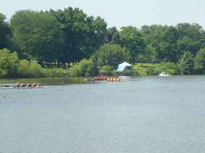 2009 Mixed D4+ (Weapon)
